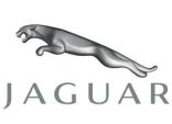 Jaguar for man