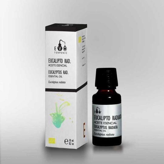 Eucalyptus Radiata Essential Oil 10 ml