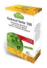 Ginkocel Forte 100mg 40 capsules