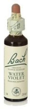 Bach 34 Water Violet 20 ml