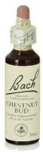 Bach 7 Chestnut Bud 20 ml