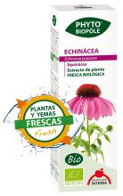 Phyto biopole echinacea