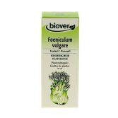 Foeniculum Vulgare Fennel 50 ml