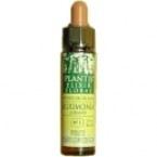 Mustard plantis nº 21 10 ml